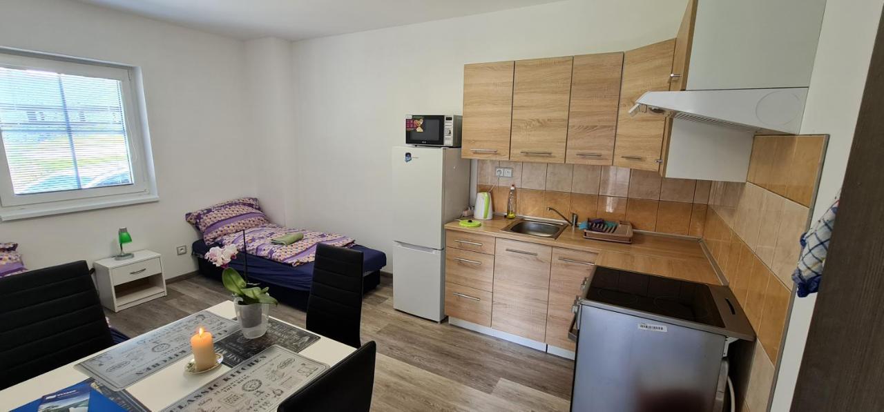 Апартаменты Apartman U Lebedu Стражны Экстерьер фото