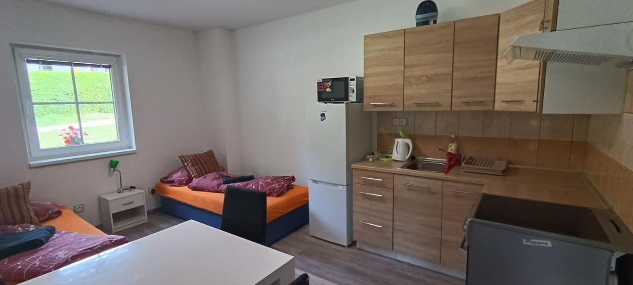 Апартаменты Apartman U Lebedu Стражны Экстерьер фото